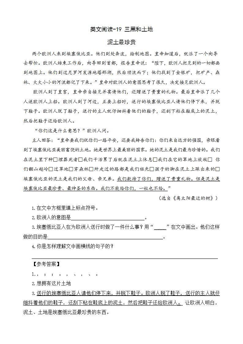 6.4《三黑和土地》课件+教案+练习01