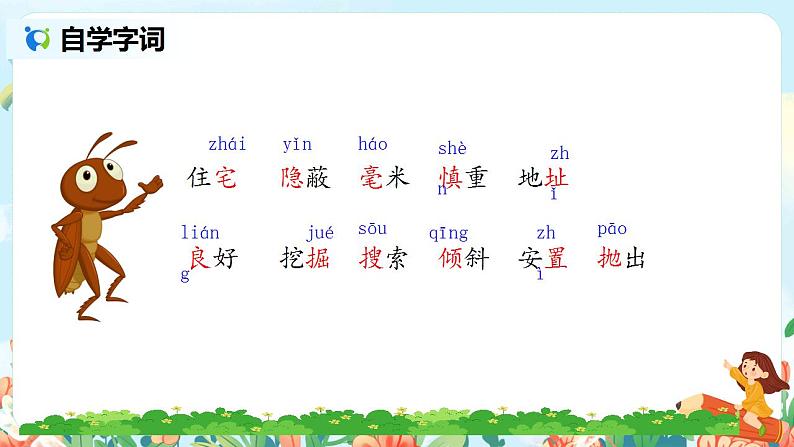 《蟋蟀的住宅》课件第7页