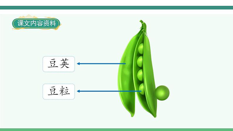 5《一个豆荚里的五粒豆》第8页