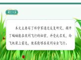 2022--2023学年部编版四年级语文上册--6《夜间飞行的秘密》（课件+教案）