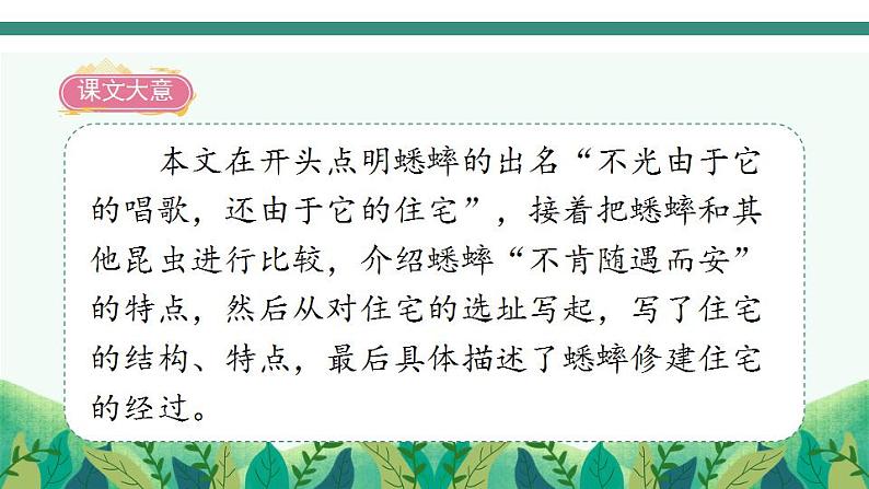 2022--2023学年部编版四年级语文上册--11《蟋蟀的住宅》（课件+教案）05