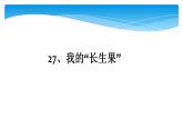 人教部编版语文五年级上册27.我的“长生果”  课件