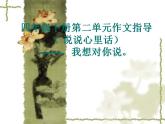 部编版五年级语文上册--习作：我想对您-课件1