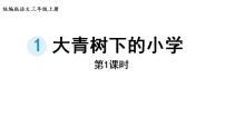 小学语文人教部编版三年级上册1 大青树下的小学备课ppt课件