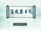 2022--2023学年部编版四年级语文上册--第三单元《习作三：写观察日记》（课件+教案）