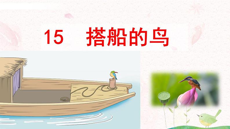 15《搭船的鸟》第二课时课件第6页