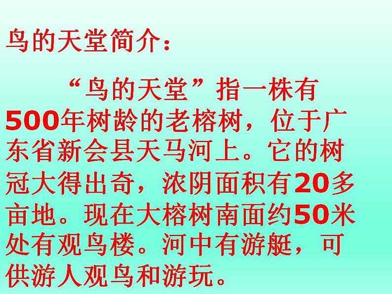 部编版五年级语文上册--23.鸟的天堂-课件第2页