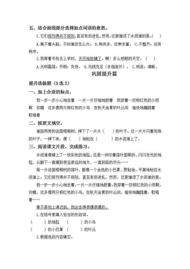 2.5铺满金色巴掌的水泥道-3上语文（部编版）同步课时分层课时练02