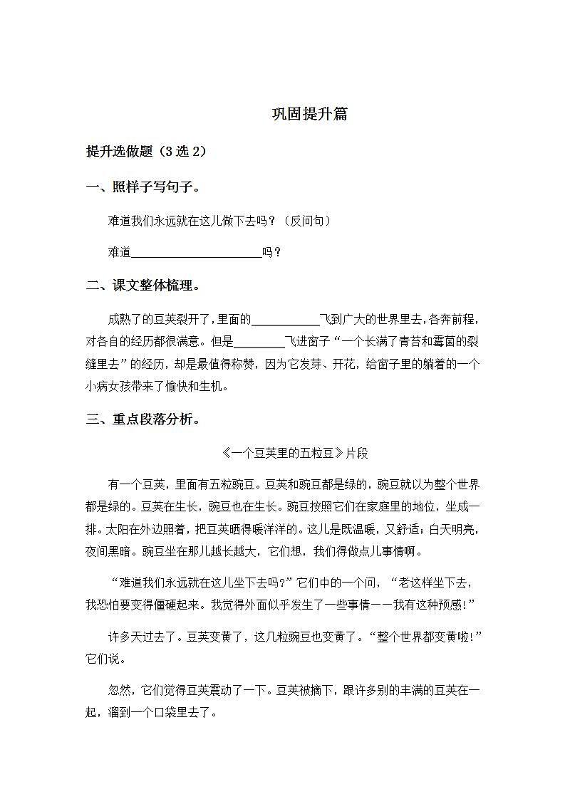 2.5一个豆荚里的五粒豆-4上语文（部编版）同步课时分层课时练02