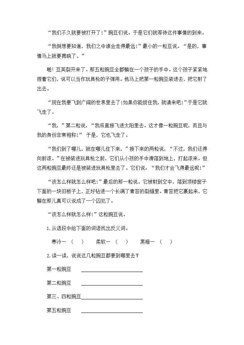 2.5一个豆荚里的五粒豆-4上语文（部编版）同步课时分层课时练03
