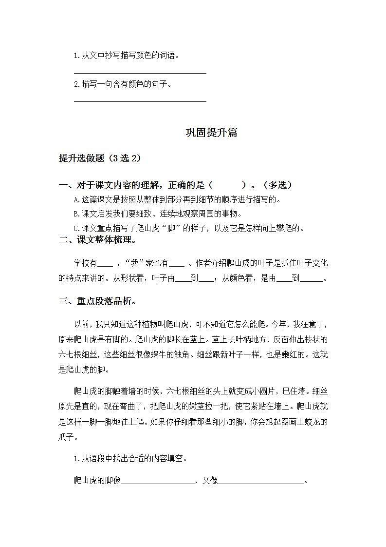 3.10爬山虎的脚-4上语文（部编版）同步课时分层课时练第2页