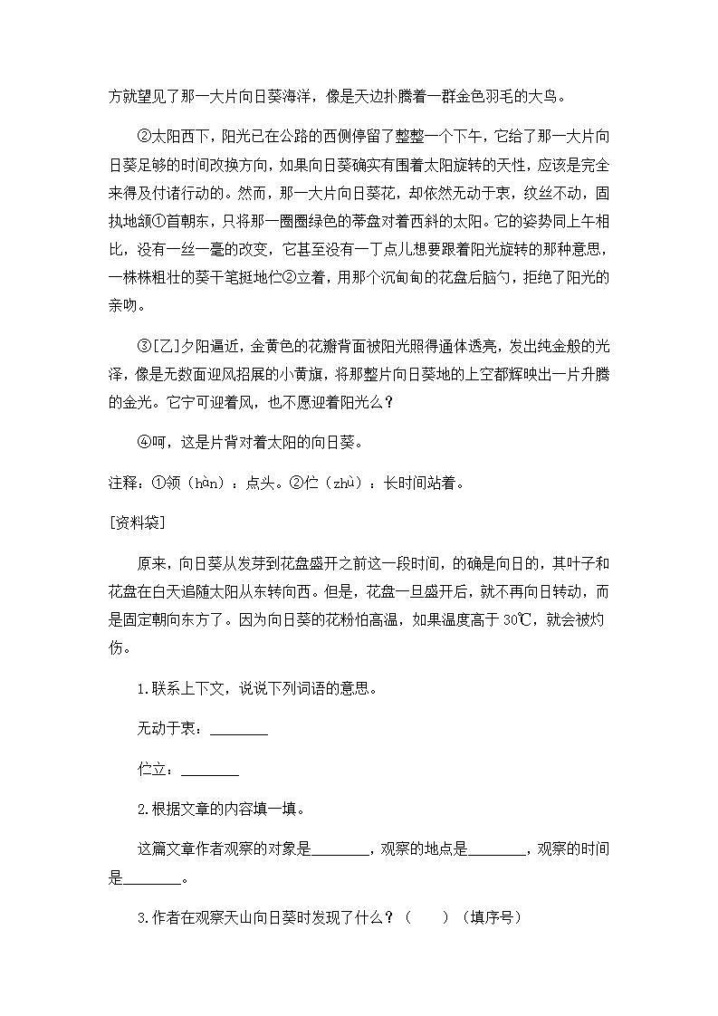 6.19一只窝囊的大老虎-4上语文（部编版）同步课时分层课时练03