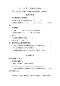 2021学年第二单元7 什么比猎豹的速度更快当堂达标检测题