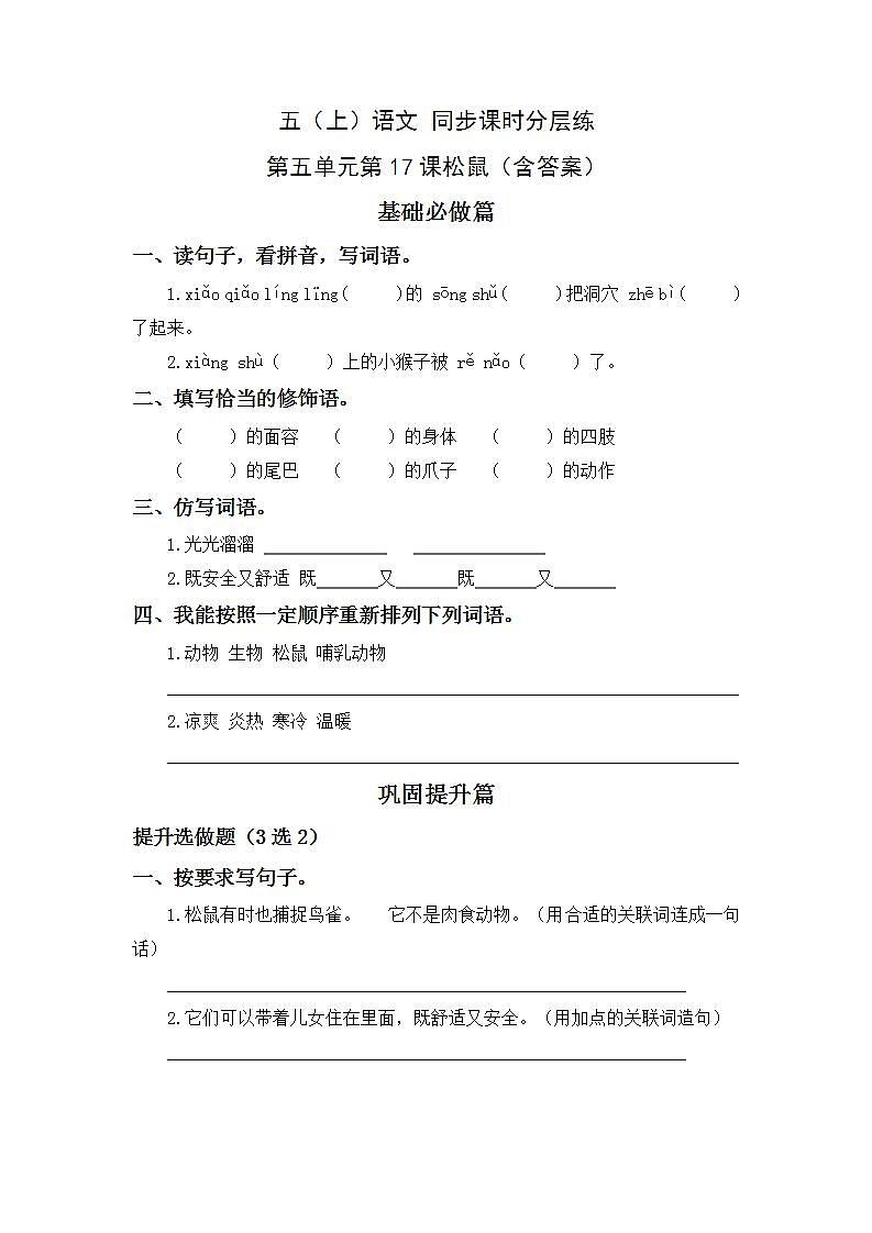 5.17松鼠-5上语文（部编版）同步课时分层课时练01