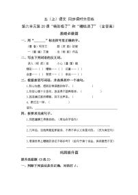 小学语文人教部编版五年级上册20* “精彩极了”和“糟糕透了”达标测试