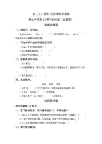 人教部编版第七单元23 鸟的天堂练习题