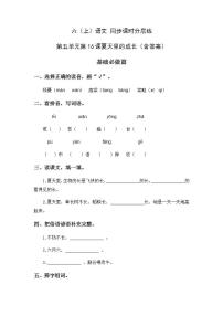 小学语文人教部编版六年级上册16 夏天里的成长课时训练