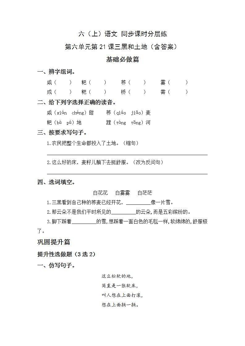 6.21三黑和土地-6上语文（部编版）同步课时分层课时练第1页