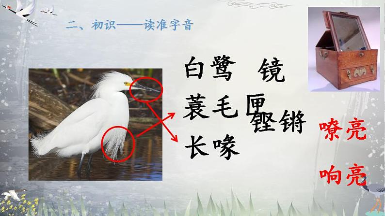 1《白鹭》（课件）部编版语文五年级上册06