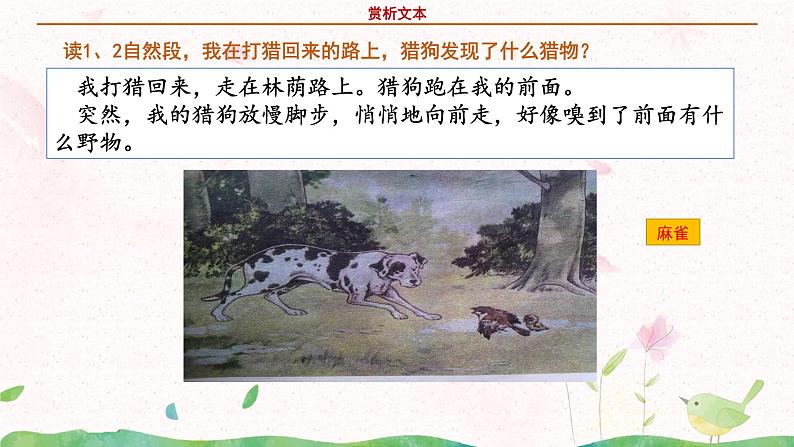 部编版语文四年级上册《麻雀》第二课时课件PPT+教案06