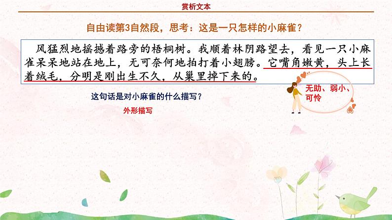 部编版语文四年级上册《麻雀》第二课时课件PPT+教案07