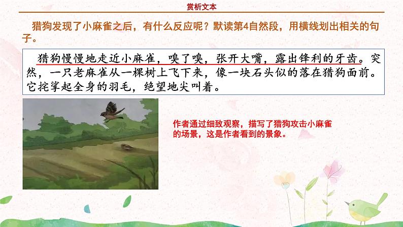 部编版语文四年级上册《麻雀》第二课时课件PPT+教案08