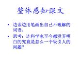 部编版六年级语文上册--11《宇宙生命之谜》课件