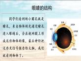 部編版語(yǔ)文四上口語(yǔ)交際：《愛(ài)護(hù)眼睛，保護(hù)視力》課件+教案+素材