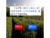 人教部编版语文六年级上册20. 青山不老  课件