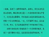 2022四年级语文下册第8单元习作：故事新编习题课件新人教版