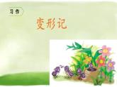 部编版六年级语文上册--《习作：变形记》课件4