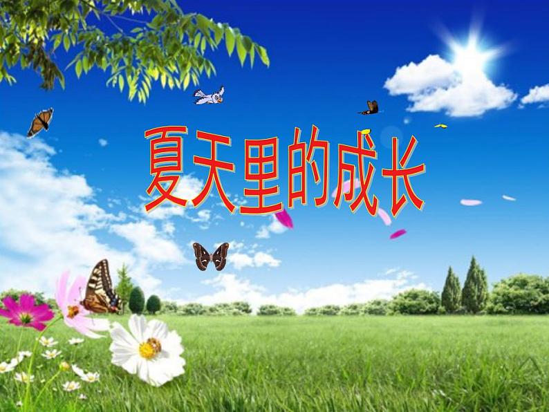 部编版六年级语文上册--16《夏天里的成长》课件201