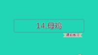 人教部编版四年级下册第四单元14 母鸡课文ppt课件