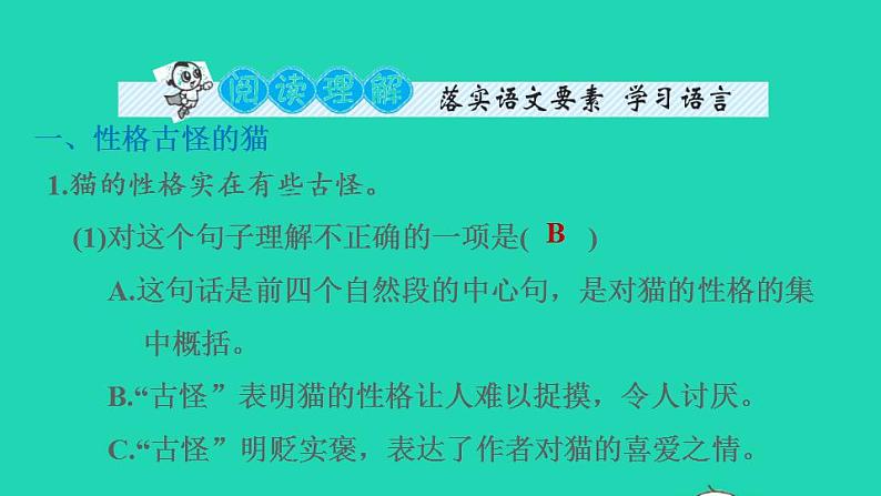 2022四年级语文下册第4单元第13课猫课后练习课件2新人教版06