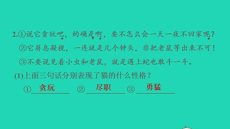 2022四年级语文下册第4单元第13课猫课后练习课件1新人教版第8页