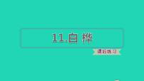 小学语文人教部编版四年级下册11 白桦说课ppt课件