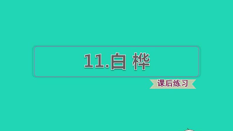 2022四年级语文下册第3单元第11课白桦课后练习课件1新人教版第1页