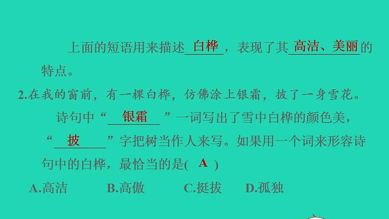 2022四年级语文下册第3单元第11课白桦课后练习课件2新人教版第8页