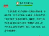 2022四年级语文下册第2单元第6课飞向蓝天的恐龙课前预习课件新人教版