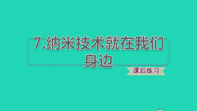 2022四年级语文下册第2单元第7课纳米技术就在我们身边课后练习课件2新人教版01