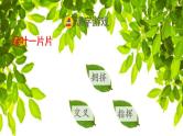 2022四年级语文下册第3单元第10课绿课前预习课件新人教版