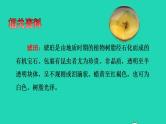 2022四年级语文下册第2单元第5课琥珀课前预习课件新人教版
