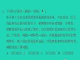 2022四年级语文下册第2单元第5课琥珀课后练习课件2新人教版