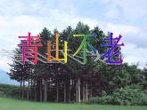 部编版六年级语文上册--20《青山不老》课件3