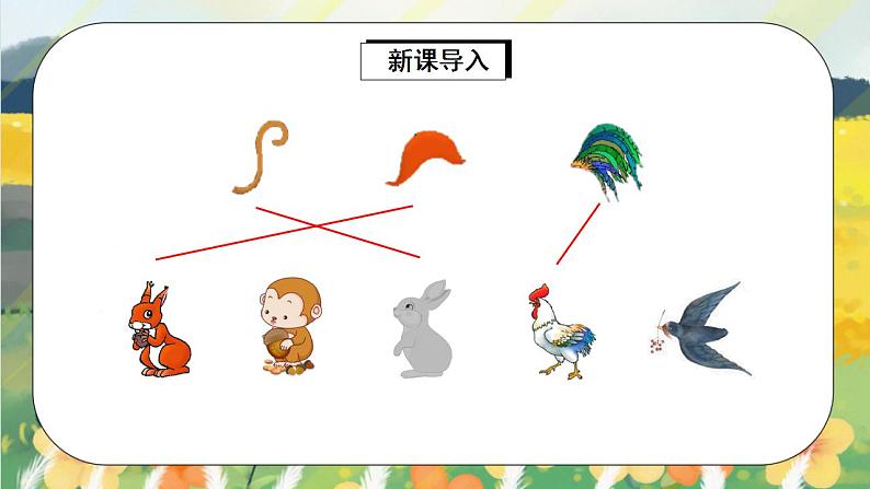 课文6《比尾巴》课件PPT+生字课件+教案+练习+音视频素材04