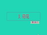 2022三年级语文下册第1单元第3课荷花课后练习课件2新人教版