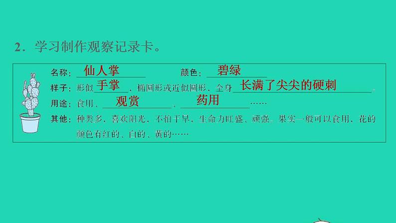 2022三年级语文下册第1单元习作：我的植物朋友习题课件新人教版05