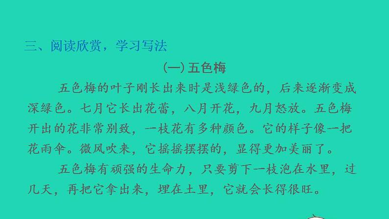 2022三年级语文下册第1单元习作：我的植物朋友习题课件新人教版06