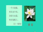 2022三年级语文下册第1单元第3课荷花初读感知课件新人教版