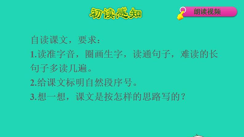 2022三年级语文下册第1单元第3课荷花初读感知课件新人教版第5页